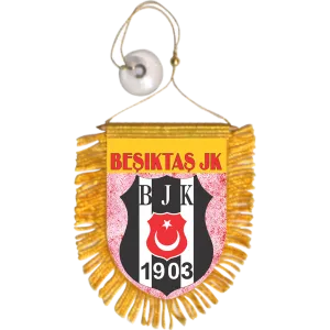 Besiktas JK Mini Car Banner