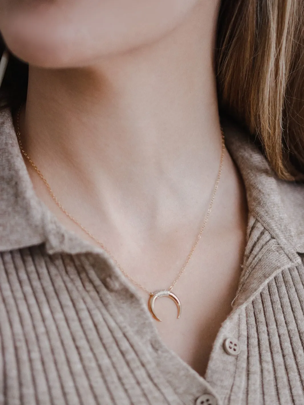 Crescent Horn Necklace