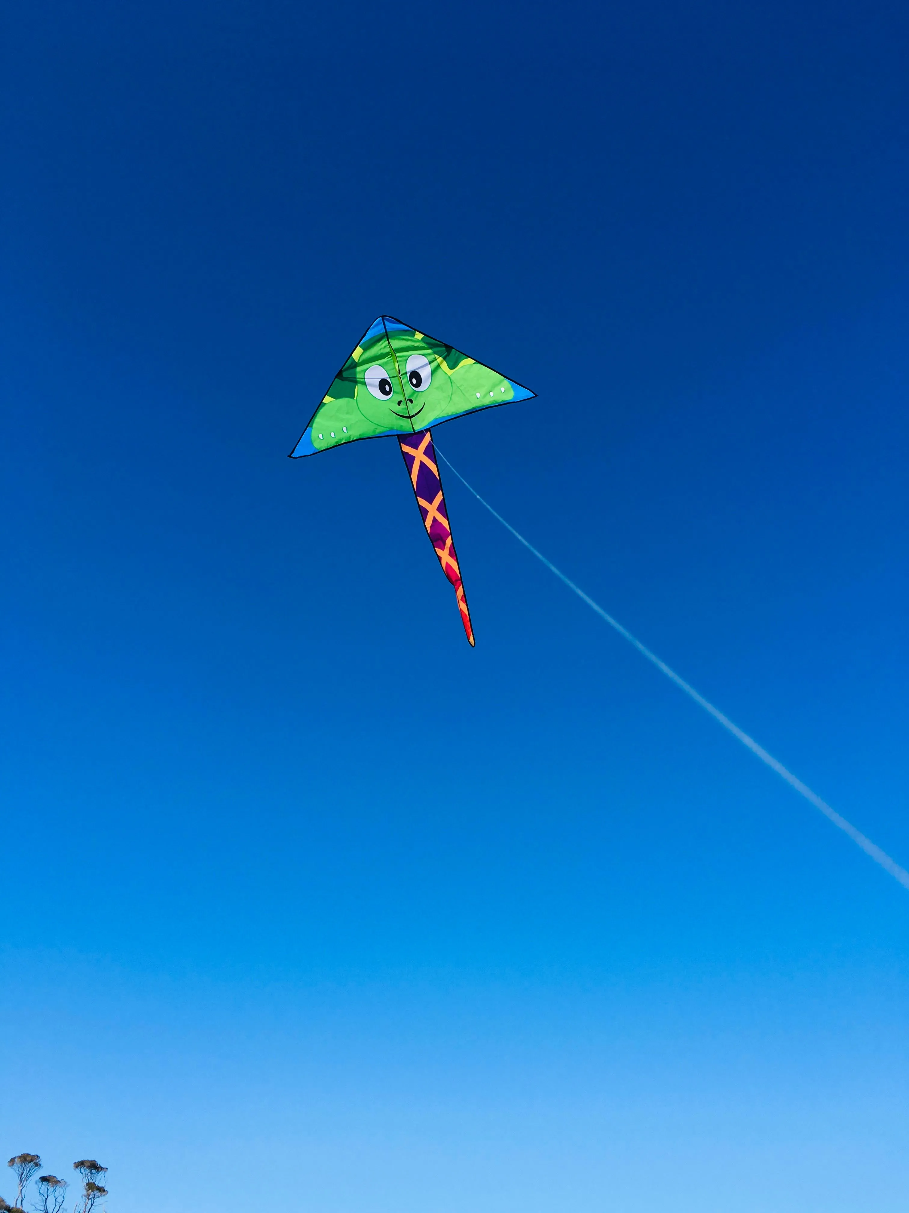 Delta Turtle Kite