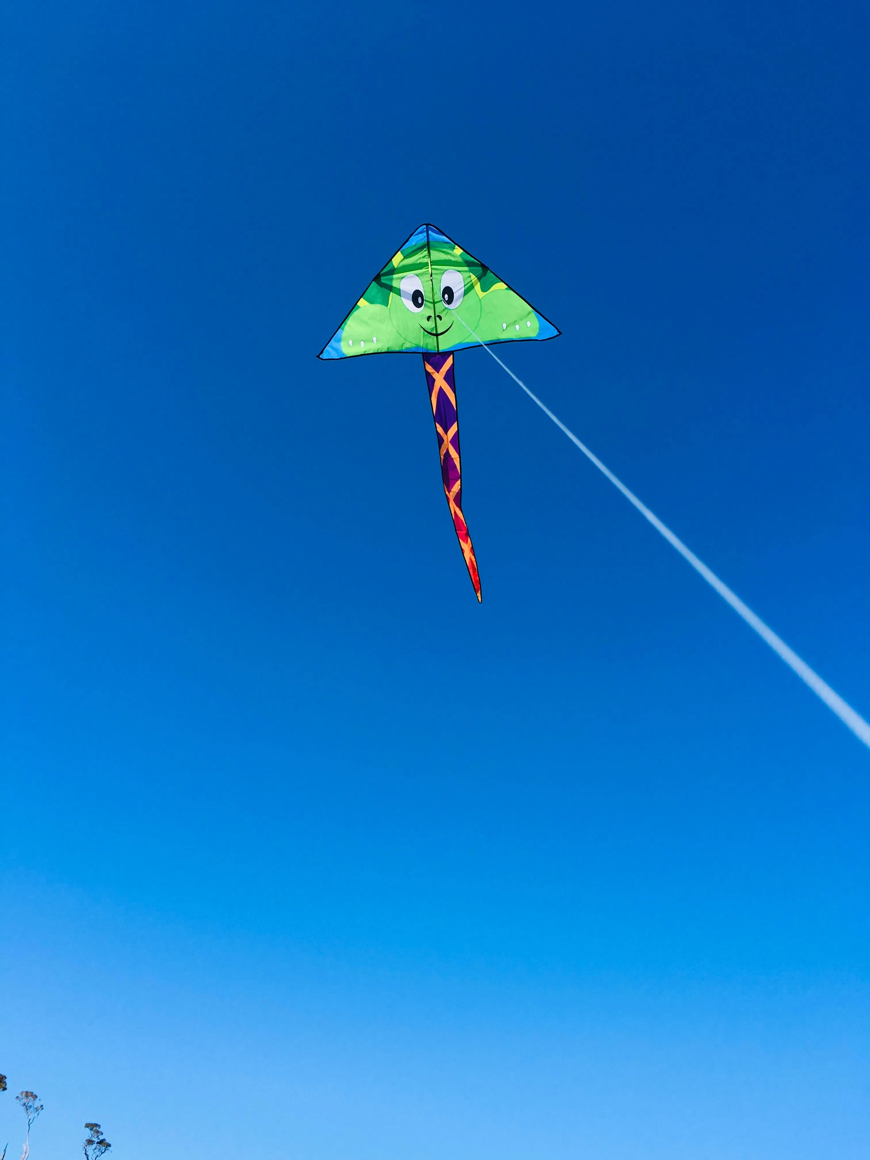 Delta Turtle Kite