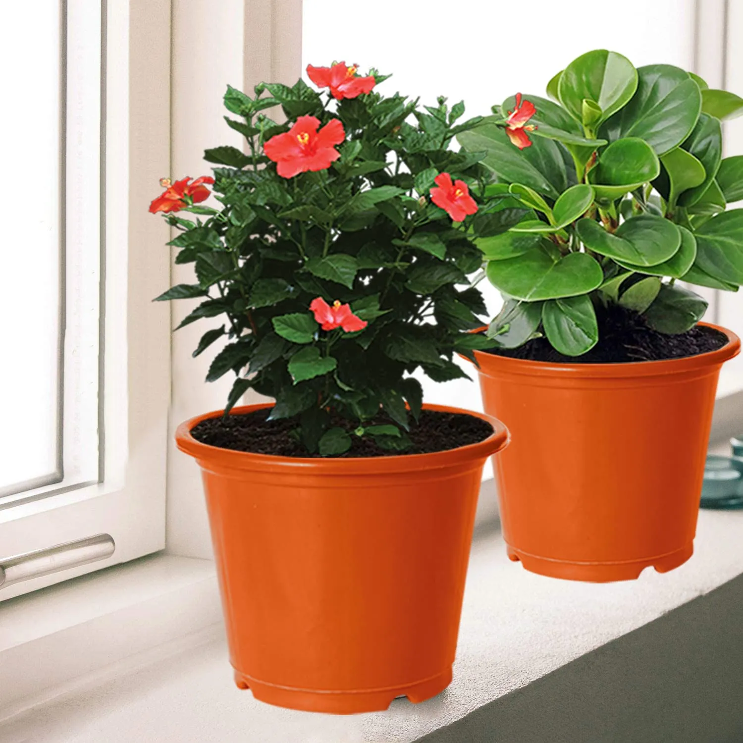 Heart Home Durable Plastic Flower Pot|Gamla with Drain Holes for Indoor Home Decor & Outdoor Balcony,Garden,6"x5",Pack of 4 (Orange)