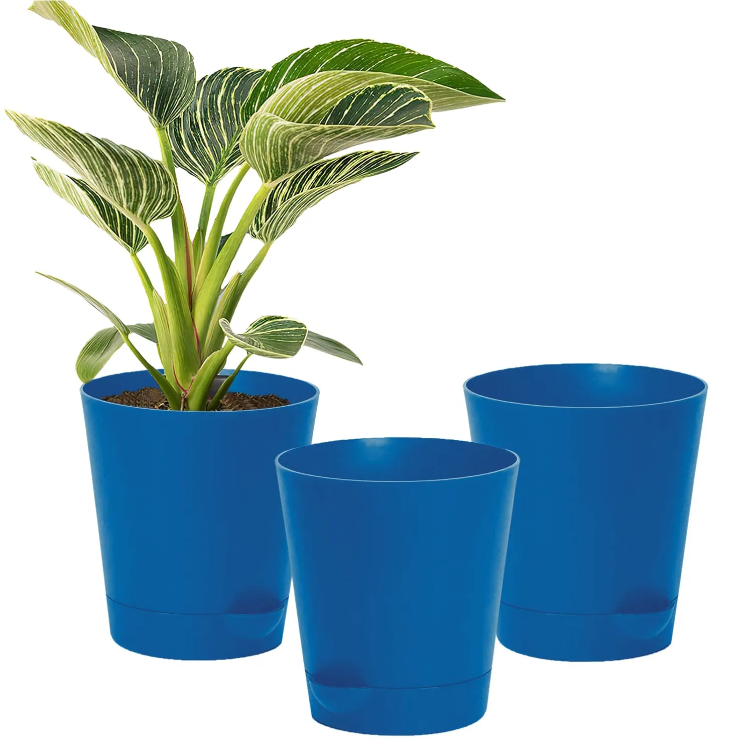 Kuber Industries Plastic Titan Pot|Garden Container for Plants & Flowers|Self-Watering Pot with Drainage Holes,6 Inch,Pack of 3 (Blue)