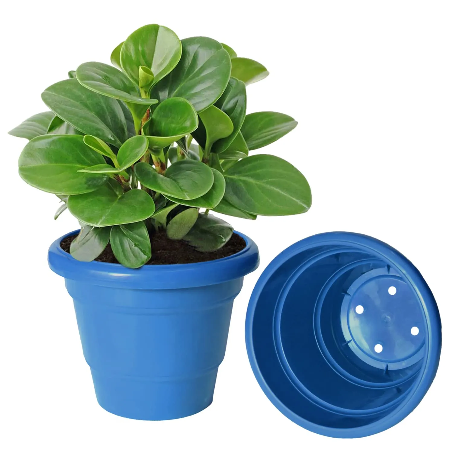 Kuber Industries Solid 2 Layered Plastic Flower Pot|Gamla for Home Decor,Nursery,Balcony,Garden,6"x5",Pack of 8 (Blue)