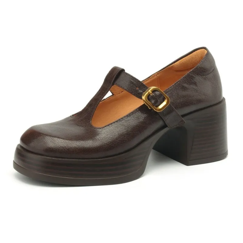 Leather T Strap Mary Jane Shoes Round Toe 70mm Block Heel in Brown/Black