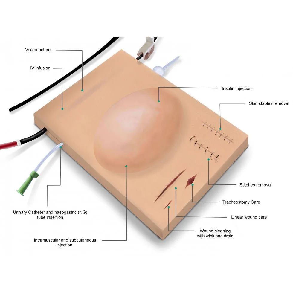 MultiPad 1 Multipurpose Clinical Skills Trainer