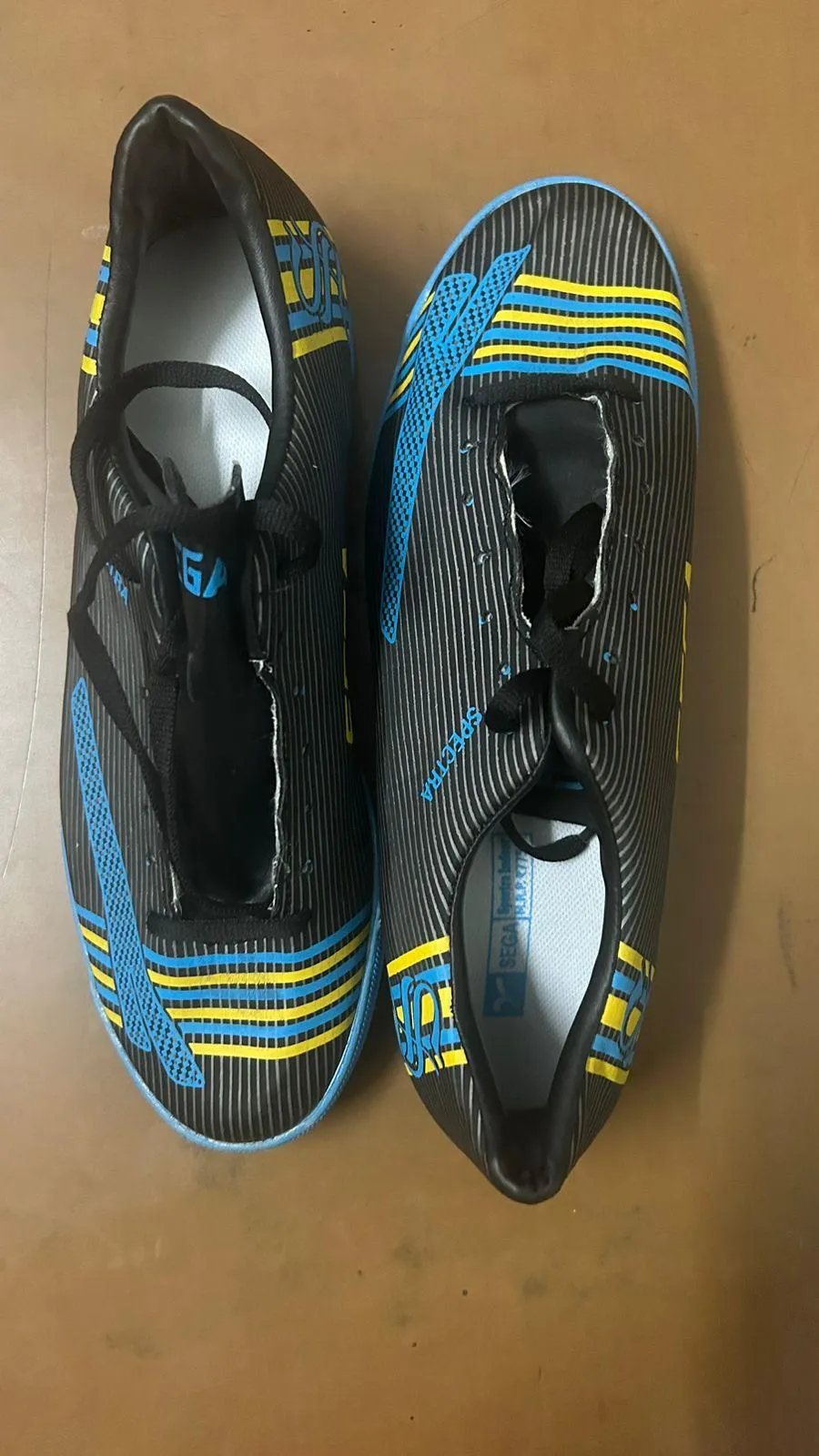 Sega Spectra Indoor Football shoes | KIBI SPORTS