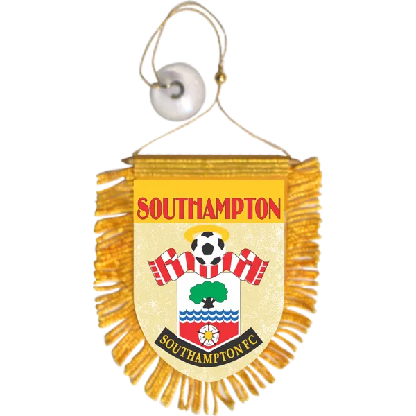 South Hampton Mini Car Banner