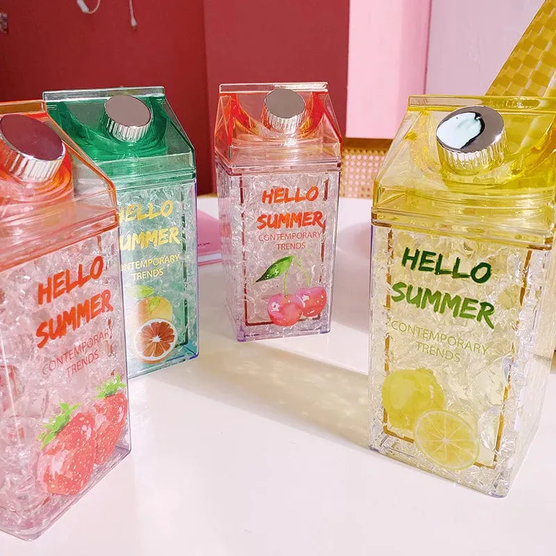 Square Ice Fruit Water Bottle