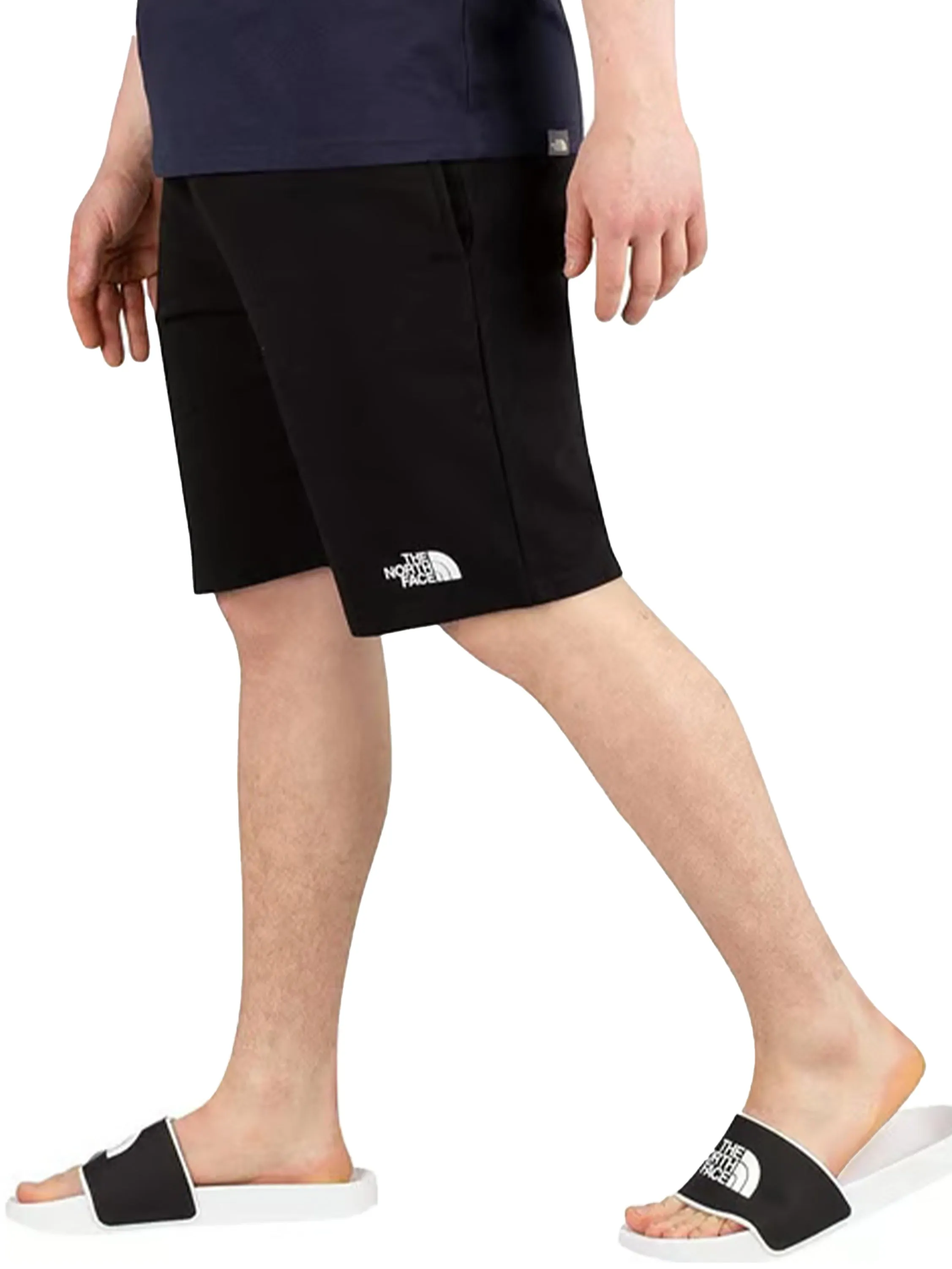 The North Face | Mens Standard Shorts