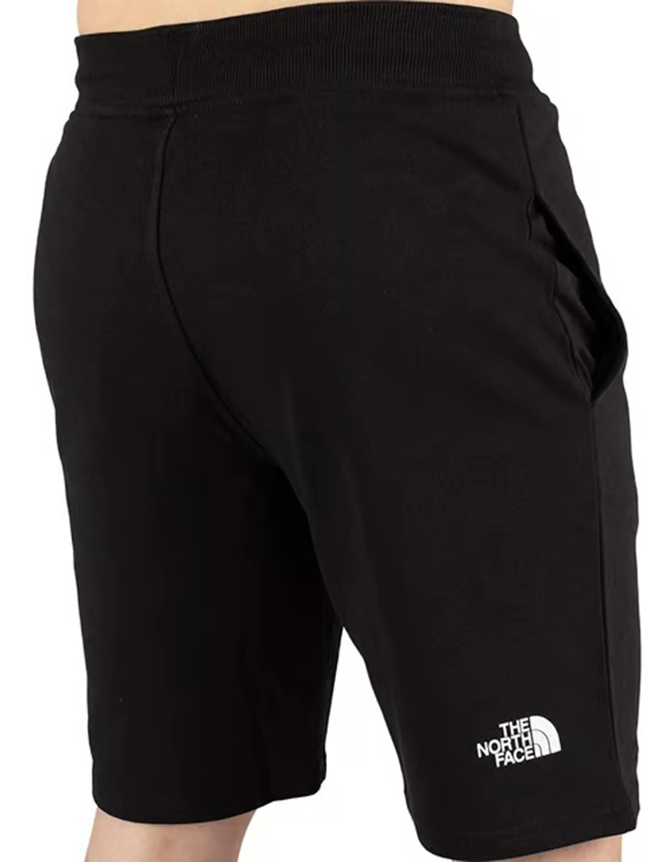 The North Face | Mens Standard Shorts